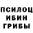 Псилоцибиновые грибы Magic Shrooms steve rugerguy