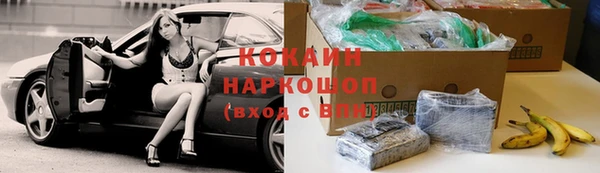 дживик Арсеньев