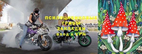 дживик Арсеньев