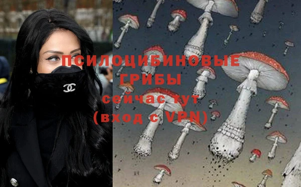 гидропоника Аркадак