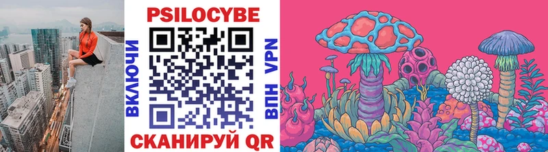 Псилоцибиновые грибы Cubensis  Снежинск 